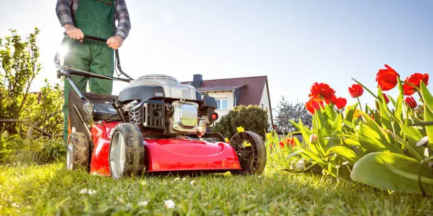 Lawn Mowing in Fishers, IN