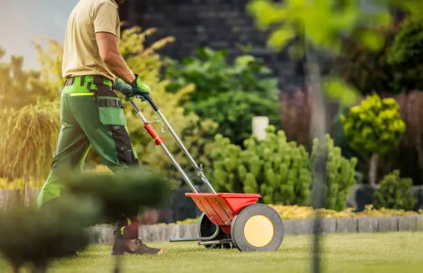 Reliable Lawn Fertilization in Fishers, IN