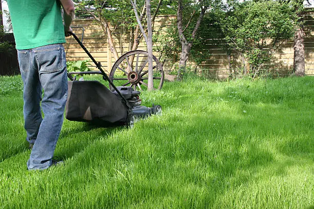 Reliable Lawn Mowing in Fishers, IN