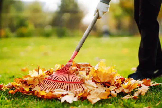 Reliable Yard cleanup in Fishers, IN