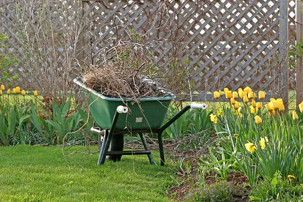 Yard cleanup in Fishers, IN